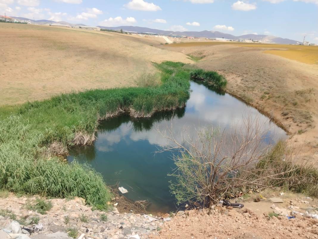 Dere kenarındaki baza dikkatini çekti, içini açınca korkunç manzarayla karşılaştı 1